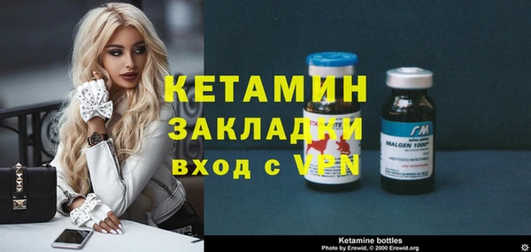 хмурый Арсеньев