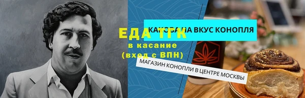 хмурый Арсеньев