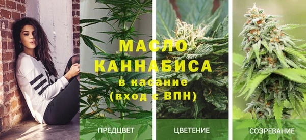 хмурый Арсеньев