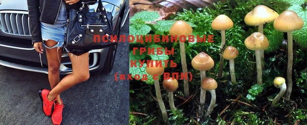 хмурый Арсеньев