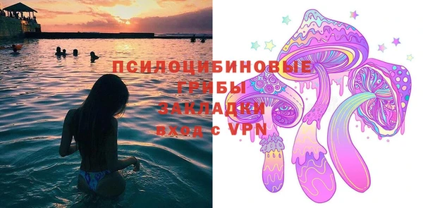 хмурый Арсеньев