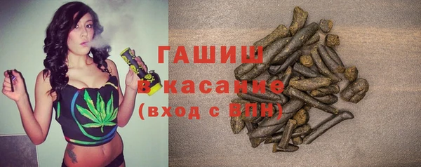 хмурый Арсеньев