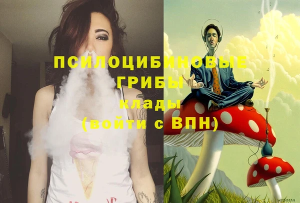 apvp Навашино